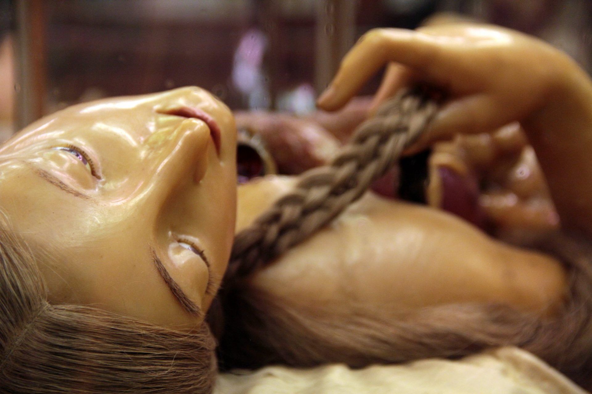 La Specola, The Natural History Museum of the University of Florence (19).JPG